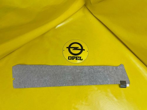 NEU + ORIGINAL GM/ Opel Zafira B Farbstreifen Carbon Fenster Rahmen Tür vorne