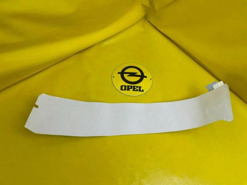 NEU + ORIGINAL GM/ Opel Zafira B Farbstreifen Carbon Fenster Rahmen Tür vorne
