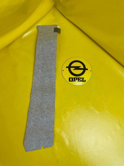 NEU + ORIGINAL GM/ Opel Zafira B Farbstreifen Carbon Fenster Rahmen Tür vorne