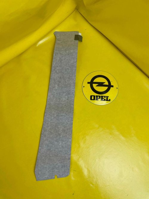 NEU + ORIGINAL GM/ Opel Zafira B Farbstreifen Carbon Fenster Rahmen Tür vorne