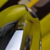 Stoßstange Vorne Hinten Opel Rekord A/B EDELSTAHL Neu