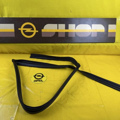 Türdichtung Opel Antara Türgummi vorne links Fensterführung GM 96624300