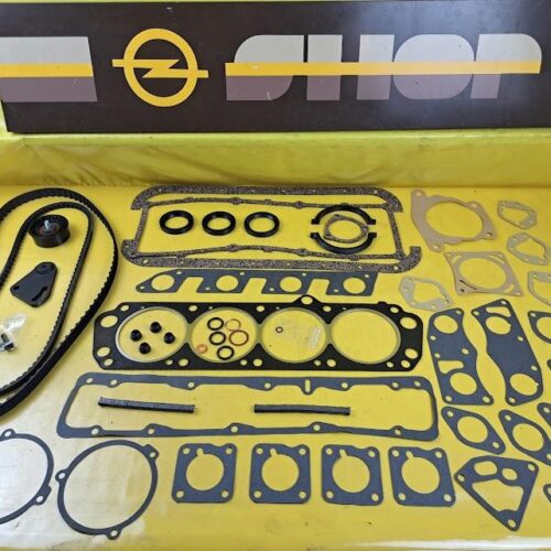Dichtsatz Motor Zahnriemen Spannrolle Panther Lima MK1/2 Vauxhall Magnum Victor
