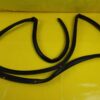 Türdichtung hinten links Opel Frontera A 4-türer Türgummi Original GM Neu NOS