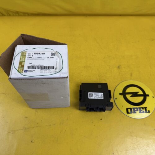 Steuergerät Gateway Modul Opel Astra K Karl Ampera-e Mokka X Insignia B GM 13599318 Orig. + NEU